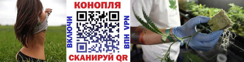 Конопля Ganja  купить наркотик  Урень 